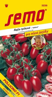 Predám planty paradajok - 15