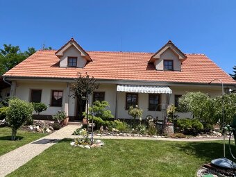 Čistenie fasád, dlažby, strechy, plotov - 15