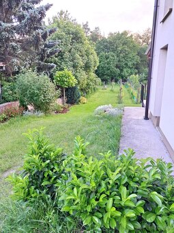 PREDAJ - rodinný dom v obci Cífer - novostavba - 15