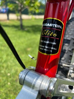 FRM   exclusive italiano mtb rare - 15