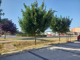 Predám byt 62m2; záhrada 53m2,parkov.miesto, RAJKA Maďarsko - 15