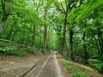 RD - CHALÚPKA a POZEMOK 1207m2 PRI LESÍKU MYJAVSKÉ KOPANICE - 15