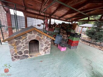 Výnimočná 9-izbová nehnuteľnosť s veľkým pozemkom – ideálna  - 15