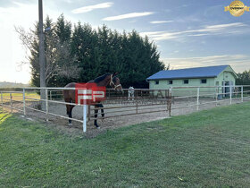 Predaj-ranč pre milovníkov koní s rozľahlými pozemkami okres - 15