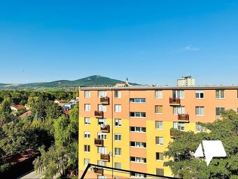 Prenájom 1,5 izb. byt, rekonštrukcia, centrum - 15