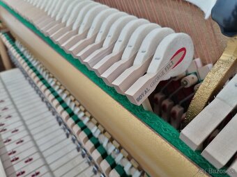 Hohner Piano pre viacero generácie - 15