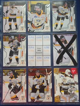 SHL - Dubnica, PB, Humenne, Bratislava - 15