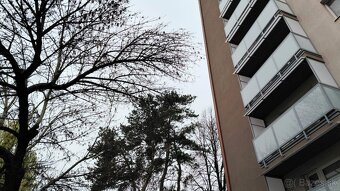 LARES REALITY: Slnečný, teplý 3 izb. byt s balkónom, A. Stod - 15