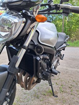 Yamaha fz6-N - 15