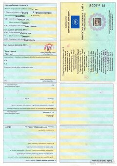 Fiat Ducato 3,0 8miest - 15