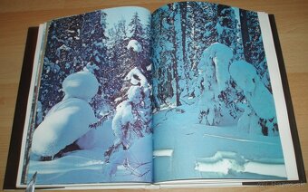 Černý sobol, hnědý medvěd - 15