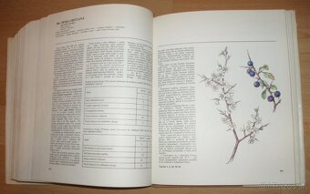 Atlas Liečivých rastlín a lesných plodov - 15