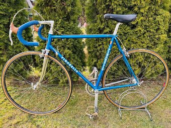 Pinarello “Veggerby” - 15