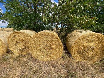 Slama na predaj - 15