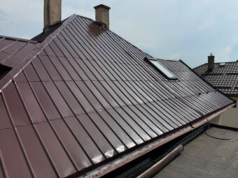 🏠✅ Natery strich Nateranie striech Mal'ovanie. - 15