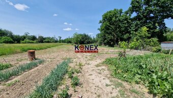 INVESTIČNÁ PRÍLEŽITOSŤ – RD a rozľahlý pozemok, Michalovce - 15