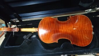 PROFESIONALNE HUSLE - 15