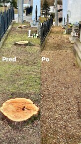 Odstraňujeme a likvidujeme pne, ktoré vám prekážajú. - 15