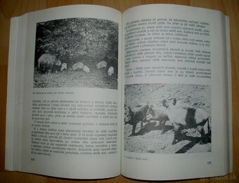 Posuzování věku živé a ulovené zvěře užitkové - 15