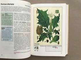 Izbové rastliny, Herbár, Atlas liečivých rastlín a lesných - 15