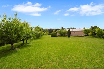 Predaj-4 izb. RD na veľkom pozemku-1549 m2-Kvetoslavov - 15