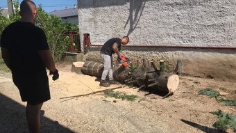 Údržba záhrad, kosenie, pílenie - 15