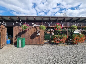 Voliery , klietky - 15