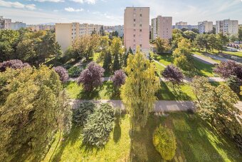 3-izbový, prenájom, 68 m2, loggia, Nešporova, Košice - Západ - 15