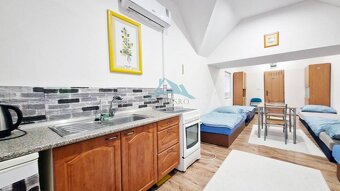 Rozsiahla nehnuteľnosť so zabehnutým výnosným podnikaním – n - 15