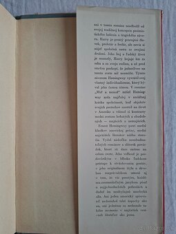 Ernest Hemingway mať a nemať - 15
