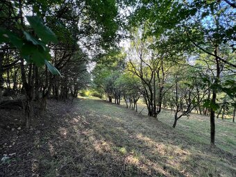 Stará Turá - atraktívny 1600 m2 stavebný pozemok s výhľadom - 15