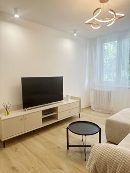 1,5 izb byt - 15
