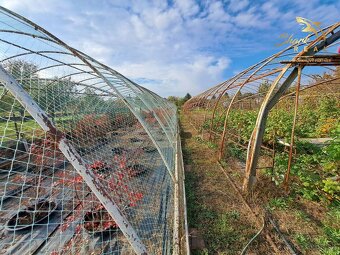 Rodinný dom s pozemkom vhodným na podnikanie - 15