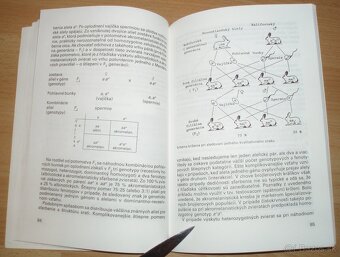 Intenzívny chov brojlerových králikov - 15