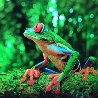 Thomson 4k Android smart tv 55(139) - 15