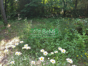 POZEMOK s prekrásnymi výhľadmi...Vyhne (057-14-DAR) - 15