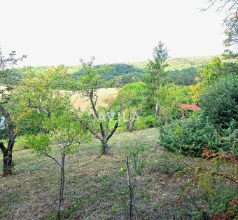 416 m² zelene a pokoja – na predaj záhrada s chatkou v Čacht - 15