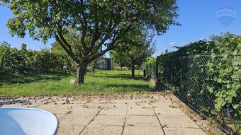 Predaj záhradnej chatky s pozemkom - 15