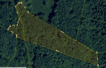 PREDAJ lesný pozemok, Chotár, Nová Baňa, 10 842 m2 - 15
