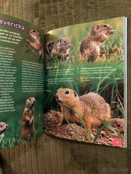 Staršie knihy pre deti - 15