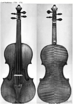 husle 4/4 Guarneri Del Gesu " Lord Shaftsbury 1731" model - 15