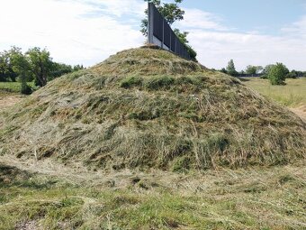 Kosenie,mulčovanie,čistenie pozemkov a zanedbaných plôch - 15