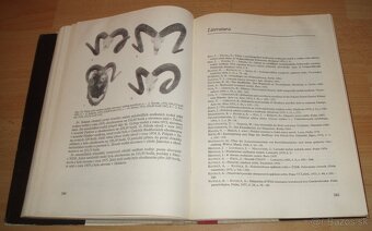 Dutorohá zvěř - 15