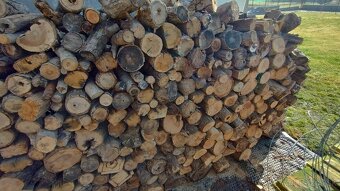 Predam palivove drevo - 15