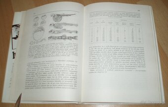 Hlavátka - 15