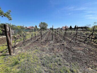 Na predaj vidiecky dom, Černík - 15