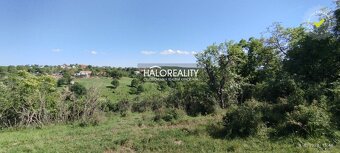 HALO reality - REZERVOVANÉ (prihláste sa na čakaciu listinu) - 15
