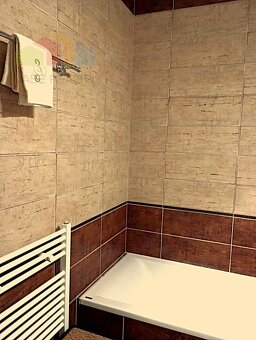 Prenájom: elegantný veľký 1 izb. (51m2) byt vo vyhľadávanej  - 15