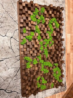 Machové obrazy - akustické difúzory - 15