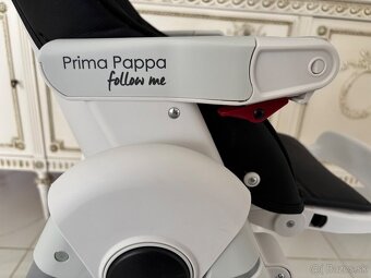 Peg perego prima Pappa folow me - 15